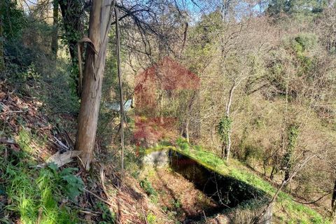 Helårsgrund i Vila Verde, Braga, Vila Verde - € 12.000 | Ref: 08810 - foto 10
