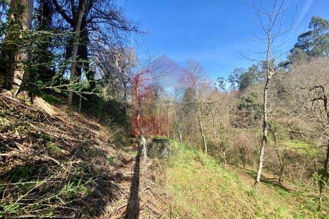 Helårsgrund i Vila Verde, Braga, Vila Verde - € 12.000 | Ref: 08810 - foto 12