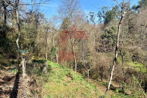 Helårsgrund i Vila Verde, Braga, Vila Verde - € 12.000 | Ref: 08810 - foto 13