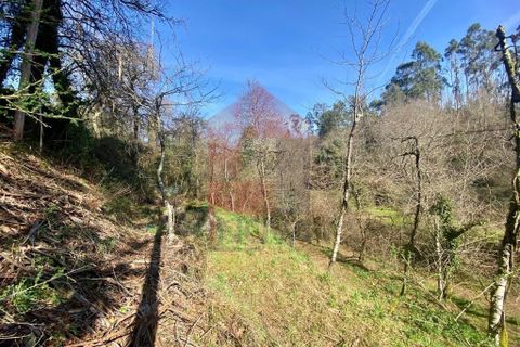 Helårsgrund i Vila Verde, Braga, Vila Verde - € 12.000 | Ref: 08810 - foto 14