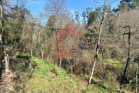 Helårsgrund i Vila Verde, Braga, Vila Verde - € 12.000 | Ref: 08810 - foto 15
