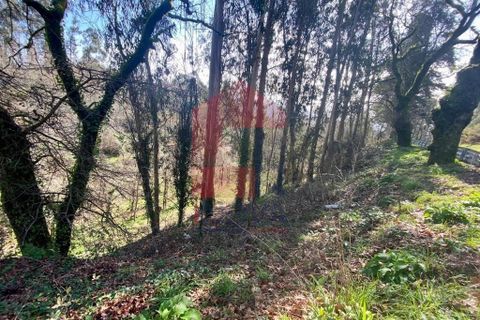 Helårsgrund i Vila Verde, Braga, Vila Verde - € 12.000 | Ref: 08810 - foto 16