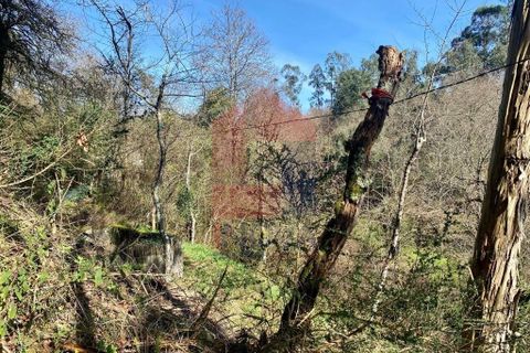Helårsgrund i Vila Verde, Braga, Vila Verde - € 12.000 | Ref: 08810 - foto 21