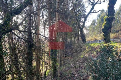 Helårsgrund i Vila Verde, Braga, Vila Verde - € 12.000 | Ref: 08810 - foto 22