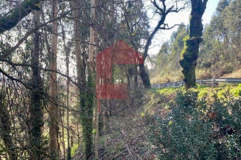 Helårsgrund i Vila Verde, Braga, Vila Verde - € 12.000 | Ref: 08810 - foto 25