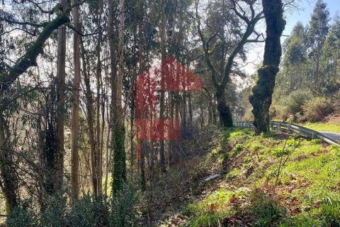 Helårsgrund i Vila Verde, Braga, Vila Verde - € 12.000 | Ref: 08810 - foto 26