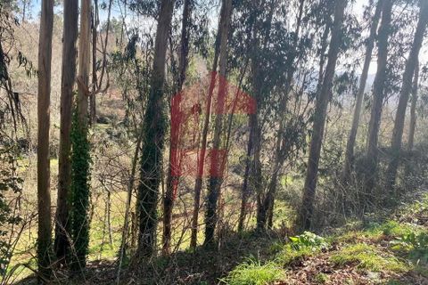 Helårsgrund i Vila Verde, Braga, Vila Verde - € 12.000 | Ref: 08810 - foto 27