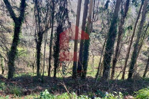 Helårsgrund i Vila Verde, Braga, Vila Verde - € 12.000 | Ref: 08810 - foto 28