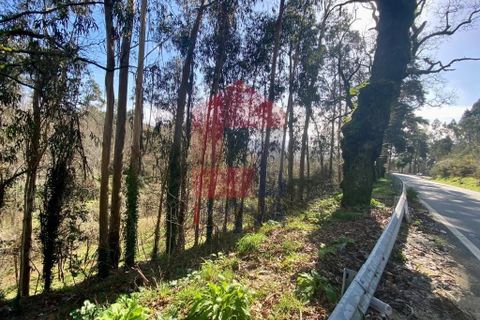 Helårsgrund i Vila Verde, Braga, Vila Verde - € 12.000 | Ref: 08810 - foto 29
