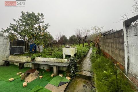 Villa i Coimbra, Coimbra, Coimbra - € 255.000 | Ref: 5551U - foto 10