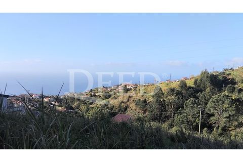 Helårsgrund i Ponta do Sol, Madeira, Ponta do Sol - € 40.000 | Ref: Deed/1061 - foto 1