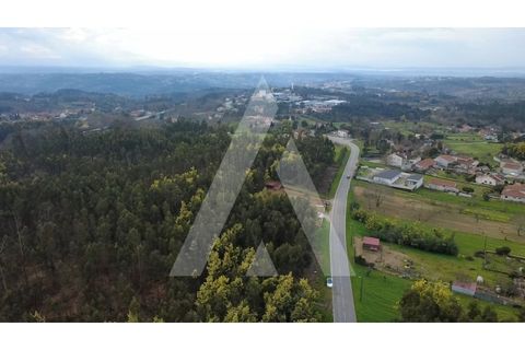 Tomt i Santa Comba Dao, Viseu, Santa Comba Dao - € 32 000 | Ref: 1180630/26VS - foto 2