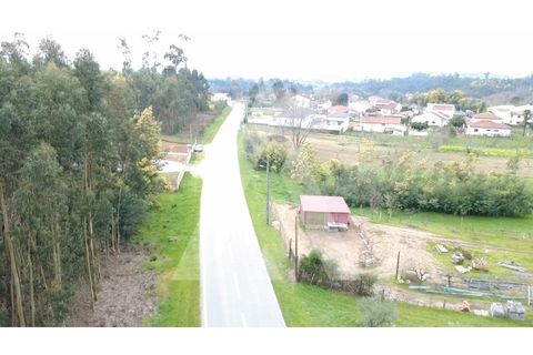 Tomt i Santa Comba Dao, Viseu, Santa Comba Dao - € 32 000 | Ref: 1180630/26VS - foto 8