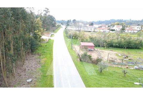 Tomt i Santa Comba Dao, Viseu, Santa Comba Dao - € 32 000 | Ref: 1180630/26VS - foto 9