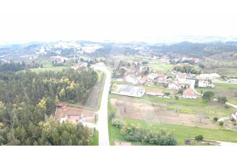 Tomt i Santa Comba Dao, Viseu, Santa Comba Dao - € 32 000 | Ref: 1180630/26VS - foto 12