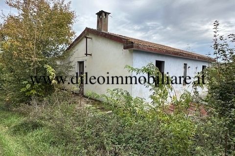 Villa i Ripatransone, Ascoli Piceno, Ripatransone - € 90.000 | Ref: 6984 - foto 6