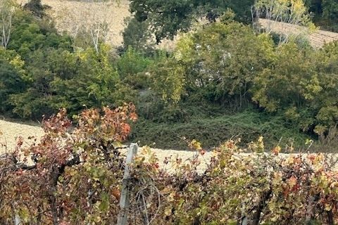 Villa i Ripatransone, Ascoli Piceno, Ripatransone - € 90.000 | Ref: 6984 - foto 8