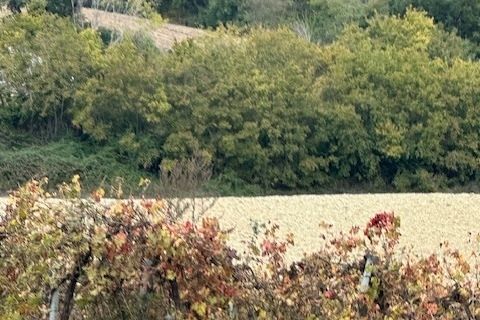 Villa i Ripatransone, Ascoli Piceno, Ripatransone - € 90.000 | Ref: 6984 - foto 11