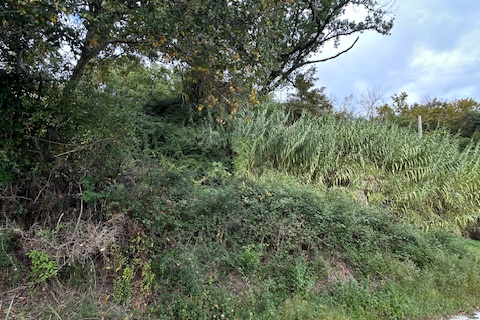 Villa i Ripatransone, Ascoli Piceno, Ripatransone - € 90.000 | Ref: 6984 - foto 15