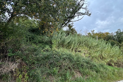 Villa i Ripatransone, Ascoli Piceno, Ripatransone - € 90.000 | Ref: 6984 - foto 16