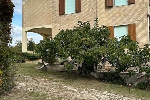 Villa a Carassai, Ascoli Piceno, Carassai - € 290.000 | Ref: 6989 - foto 4
