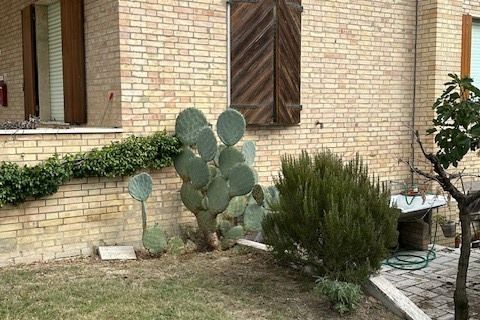 Villa a Carassai, Ascoli Piceno, Carassai - € 290.000 | Ref: 6989 - foto 10