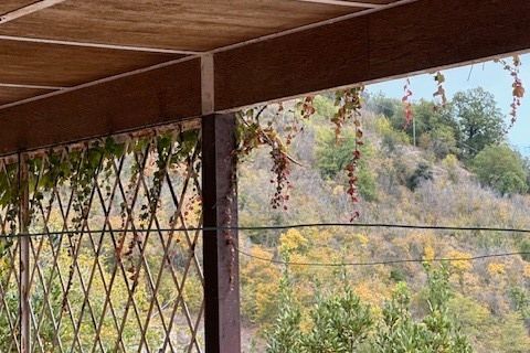 Villa a Carassai, Ascoli Piceno, Carassai - € 290.000 | Ref: 6989 - foto 32