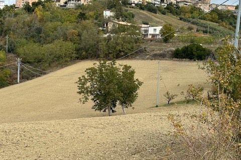 Villa a Carassai, Ascoli Piceno, Carassai - € 290.000 | Ref: 6989 - foto 35