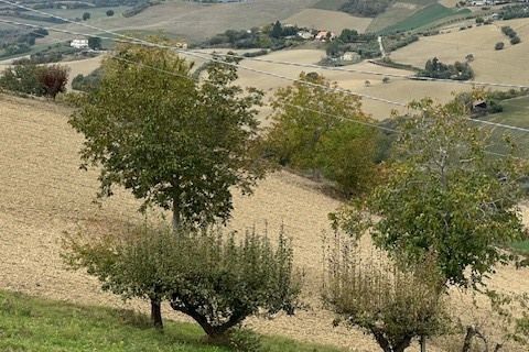 Villa a Carassai, Ascoli Piceno, Carassai - € 290.000 | Ref: 6989 - foto 38