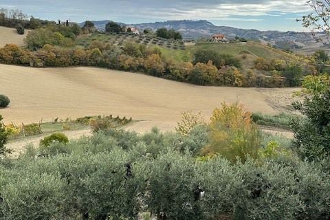 Villa a Carassai, Ascoli Piceno, Carassai - € 290.000 | Ref: 6989 - foto 41