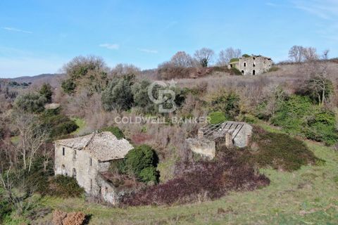 Landejendom i Latera, Viterbo, Latera - € 135.000 | Ref: CBI105-1176-444 - foto 2