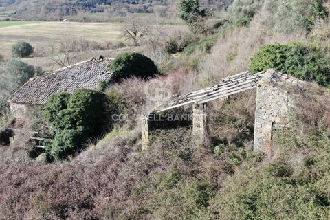 Landejendom i Latera, Viterbo, Latera - € 135.000 | Ref: CBI105-1176-444 - foto 6