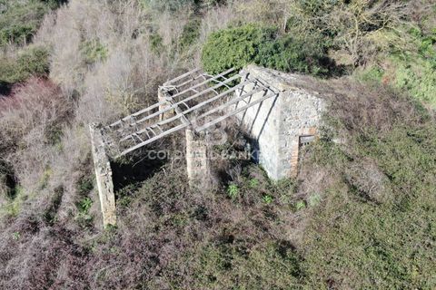 Landejendom i Latera, Viterbo, Latera - € 135.000 | Ref: CBI105-1176-444 - foto 7