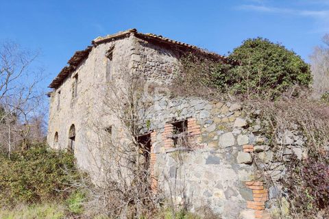Landejendom i Latera, Viterbo, Latera - € 135.000 | Ref: CBI105-1176-444 - foto 10