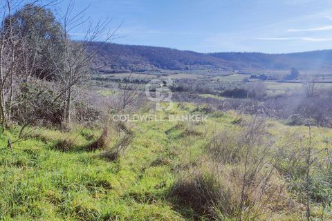 Landejendom i Latera, Viterbo, Latera - € 135.000 | Ref: CBI105-1176-444 - foto 21