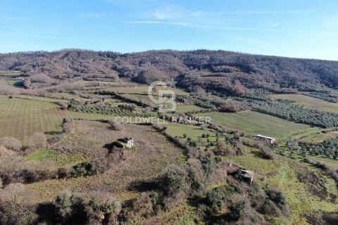 Landejendom i Latera, Viterbo, Latera - € 135.000 | Ref: CBI105-1176-444 - foto 24