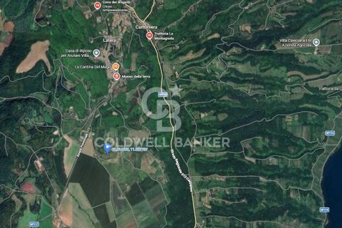 Landejendom i Latera, Viterbo, Latera - € 135.000 | Ref: CBI105-1176-444 - foto 26