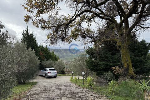 Villa i Settingiano, Catanzaro, Settingiano - € 120.000 | Ref: CZ-910 - foto 23