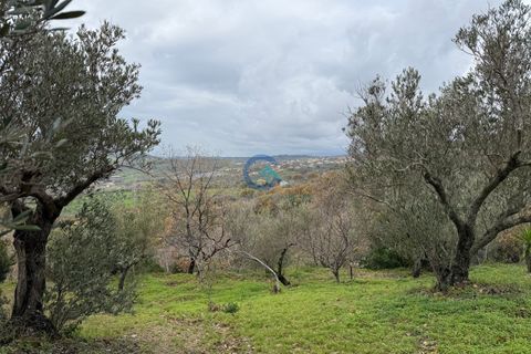 Villa i Settingiano, Catanzaro, Settingiano - € 120.000 | Ref: CZ-910 - foto 21