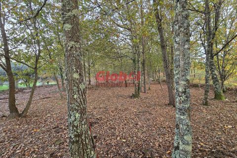 Helårsgrund i Viseu, Viseu, Viseu - € 42.500 | Ref: 189262033 - foto 1