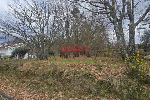 Helårsgrund i Viseu, Viseu, Viseu - € 42.500 | Ref: 189262033 - foto 3