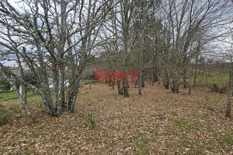 Helårsgrund i Viseu, Viseu, Viseu - € 42.500 | Ref: 189262033 - foto 5