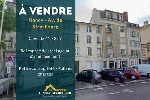 Cave house i Nancy, Meurthe-et-Moselle, Nancy - € 12.500 | Ref: EVAU10000205 - foto 1