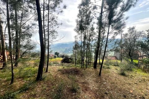 Helårsgrund i Amarante, Porto, Amarante - € 45.000 | Ref: 1074 - foto 5