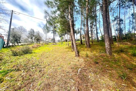 Helårsgrund i Amarante, Porto, Amarante - € 45.000 | Ref: 1074 - foto 6