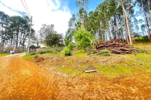 Helårsgrund i Amarante, Porto, Amarante - € 45.000 | Ref: 1074 - foto 9