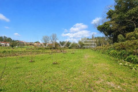 Helårsgrund i Vila Verde, Braga, Vila Verde - € 23.500 | Ref: 01-3788 - foto 5