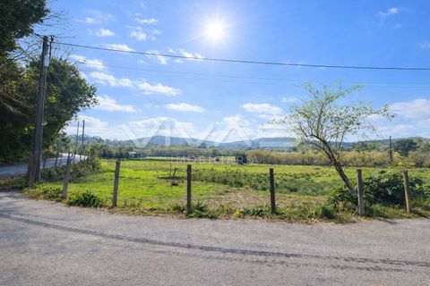 Helårsgrund i Vila Verde, Braga, Vila Verde - € 23.500 | Ref: 01-3788 - foto 7