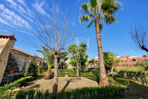 Villa a Crato, Portalegre, Crato - € 359.000 | Ref: CAS_342 - foto 42