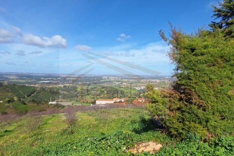 Helårsgrund i Cadaval, Lisbon, Cadaval - € 60.000 | Ref: CL25030 - foto 1